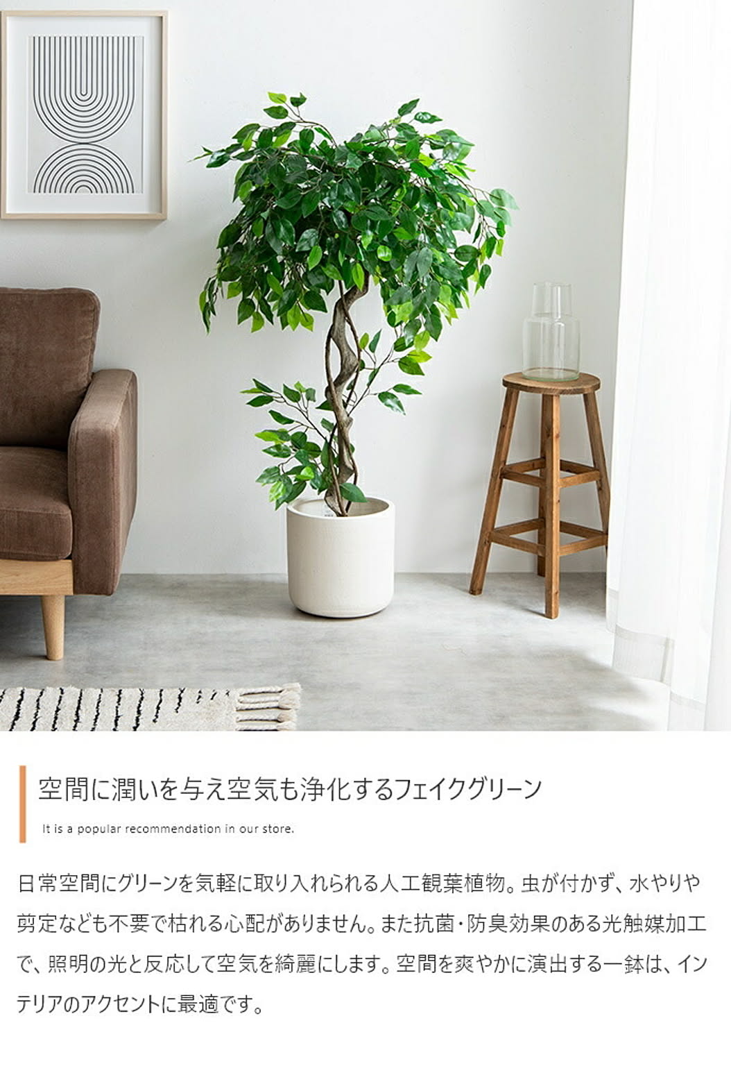 観葉植物