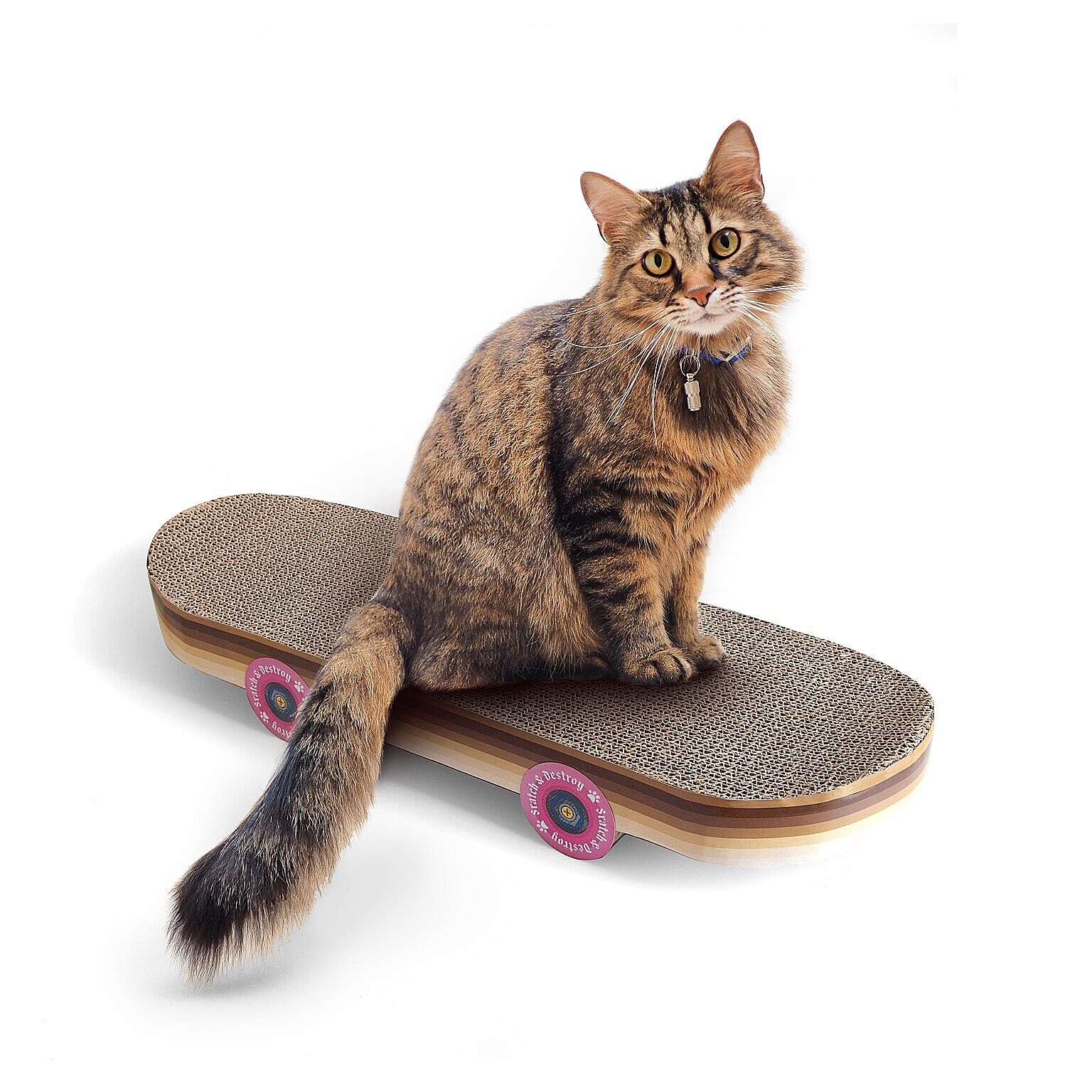 SUCK UK Cat Scratch Skateboard イギリス サックユーケー キャットスクラッチスケートボード