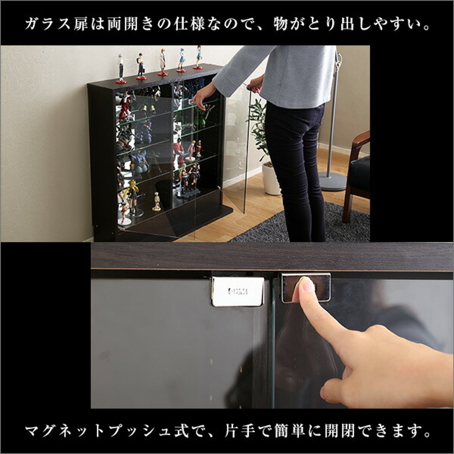 コレクションケース