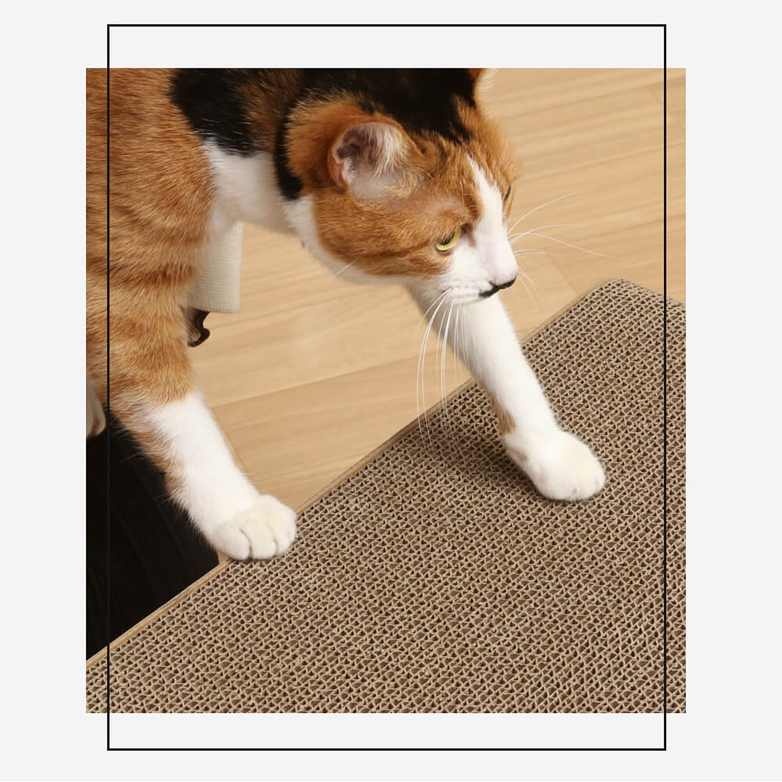 猫用インテリア・猫用家具