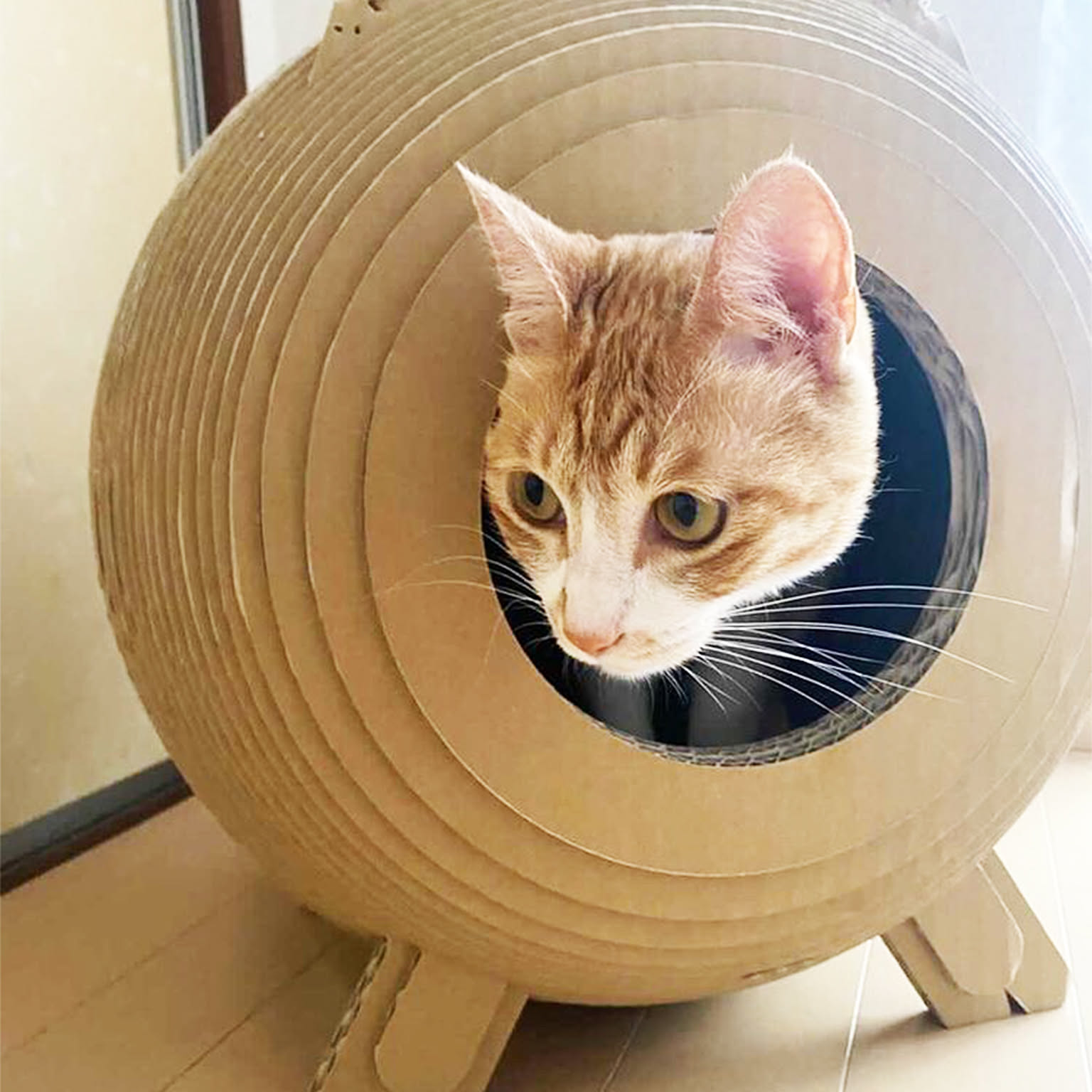 猫用インテリア・猫用家具