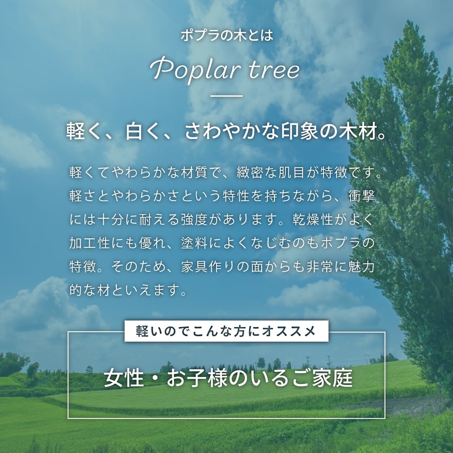 スツール・丸椅子