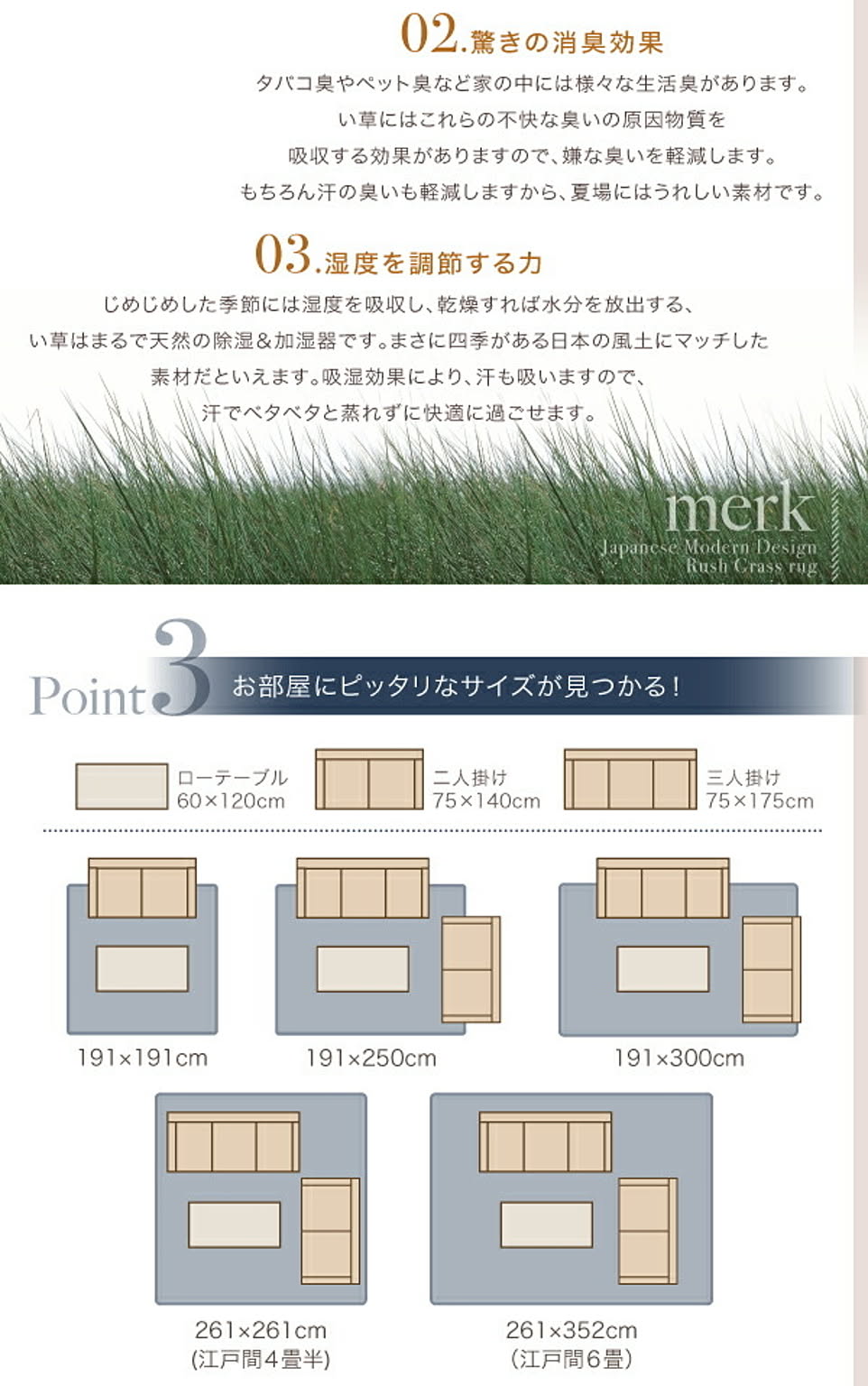 ござ・い草ラグ