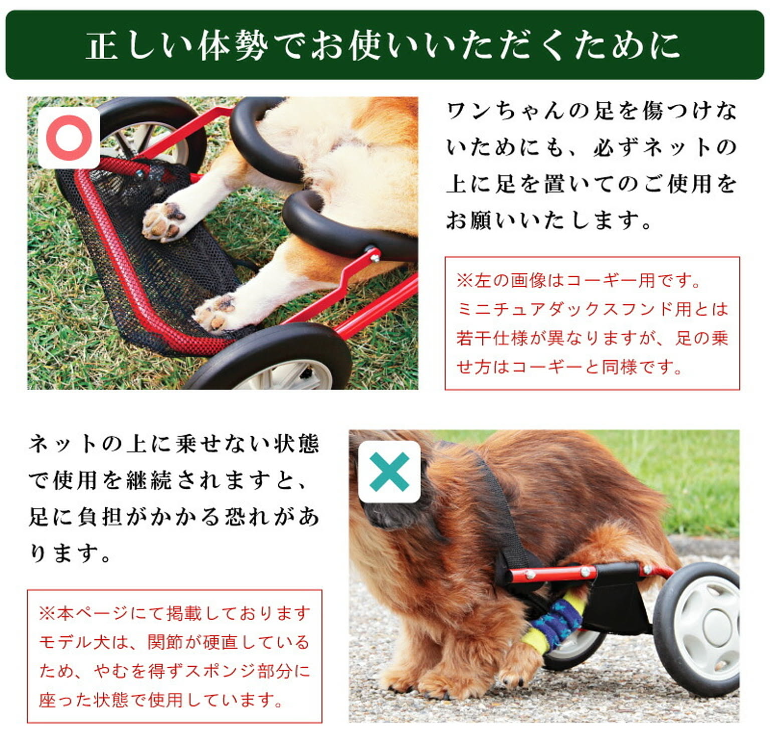 犬用インテリア・犬用家具