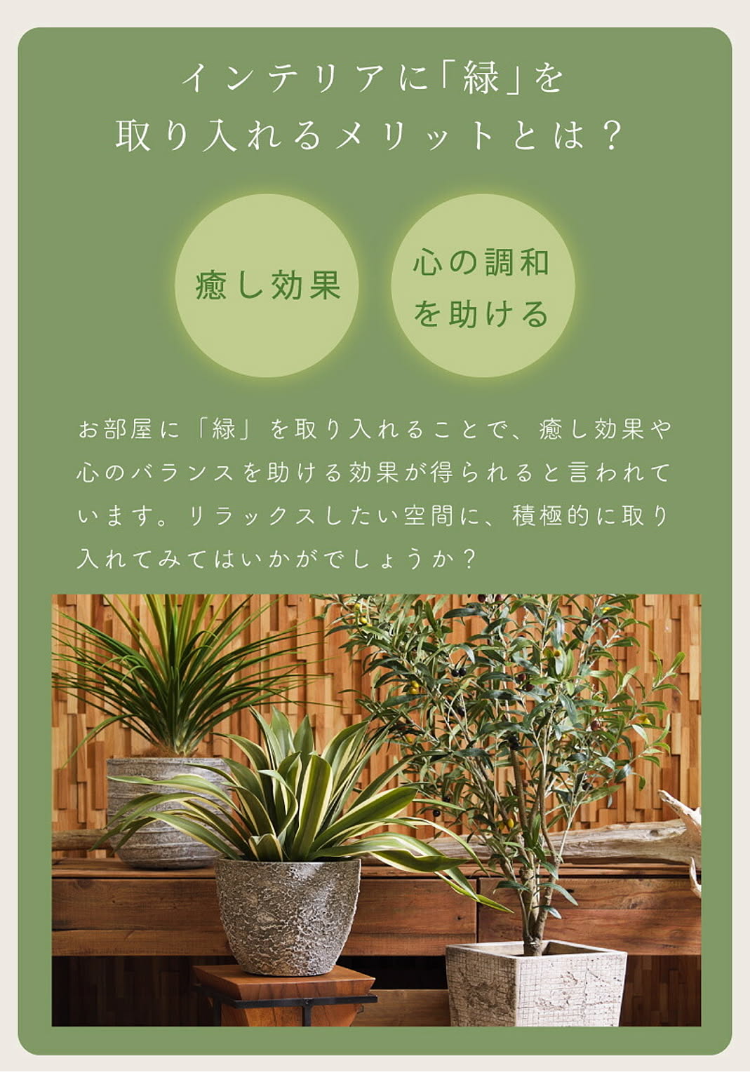 フェイクグリーン