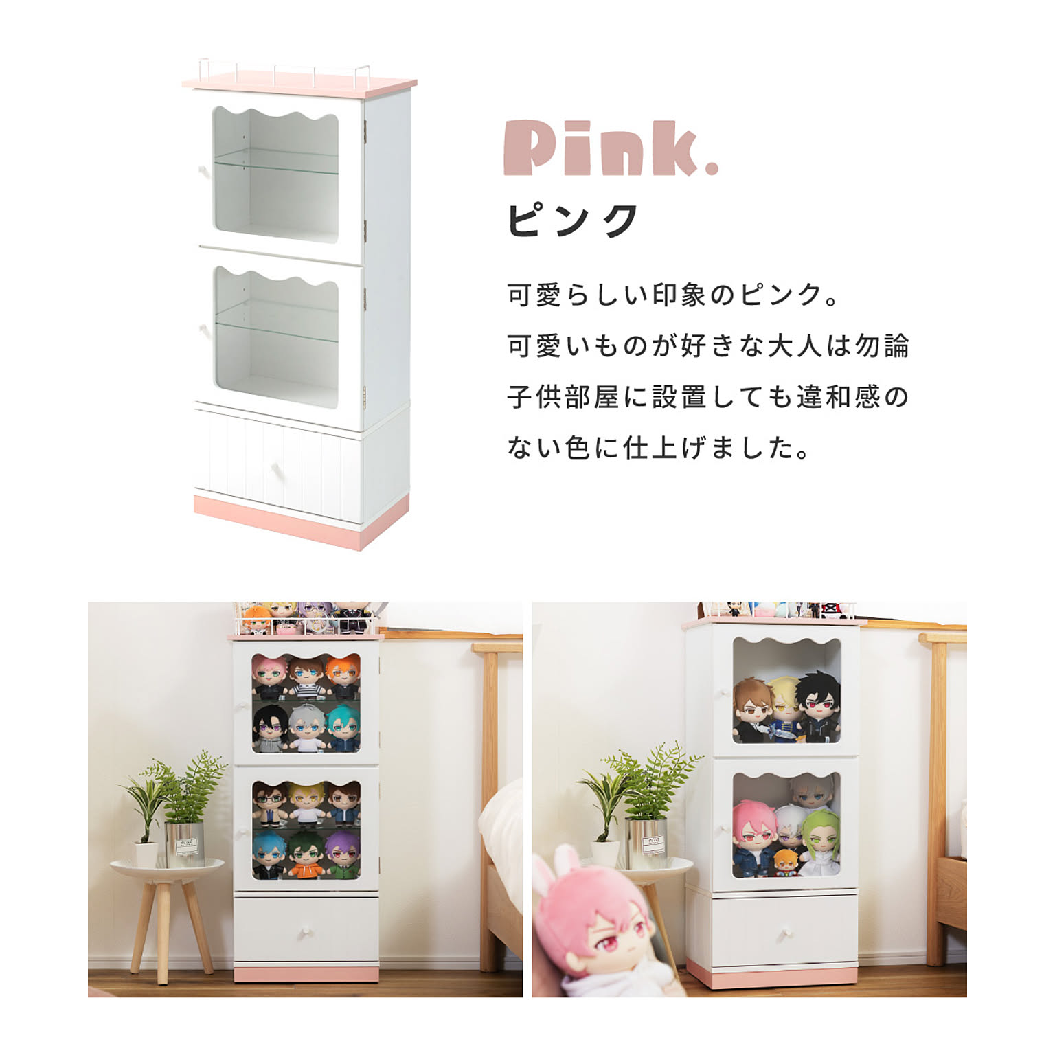 コレクションケース