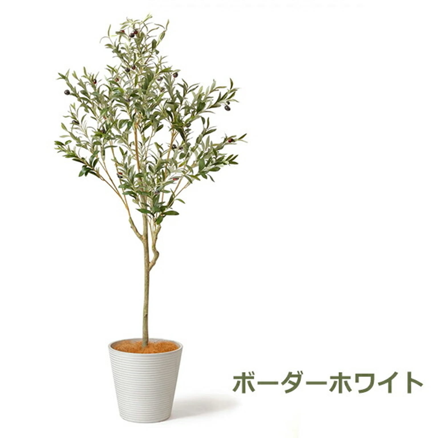 フェイクグリーン