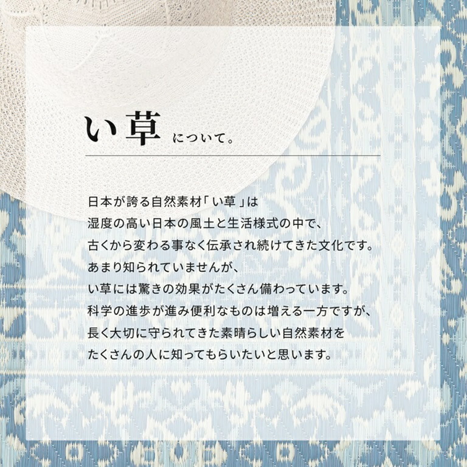 ラグ