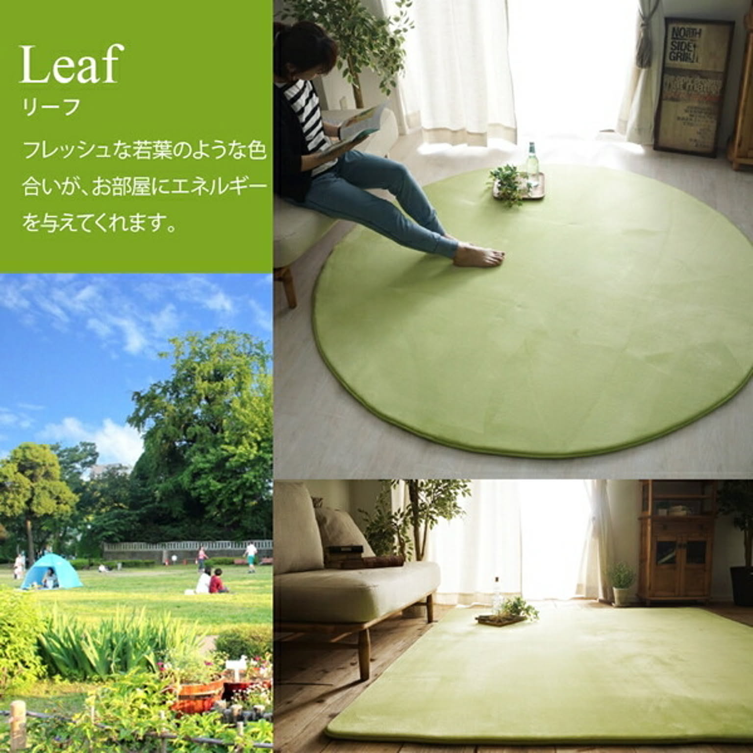 ラグ