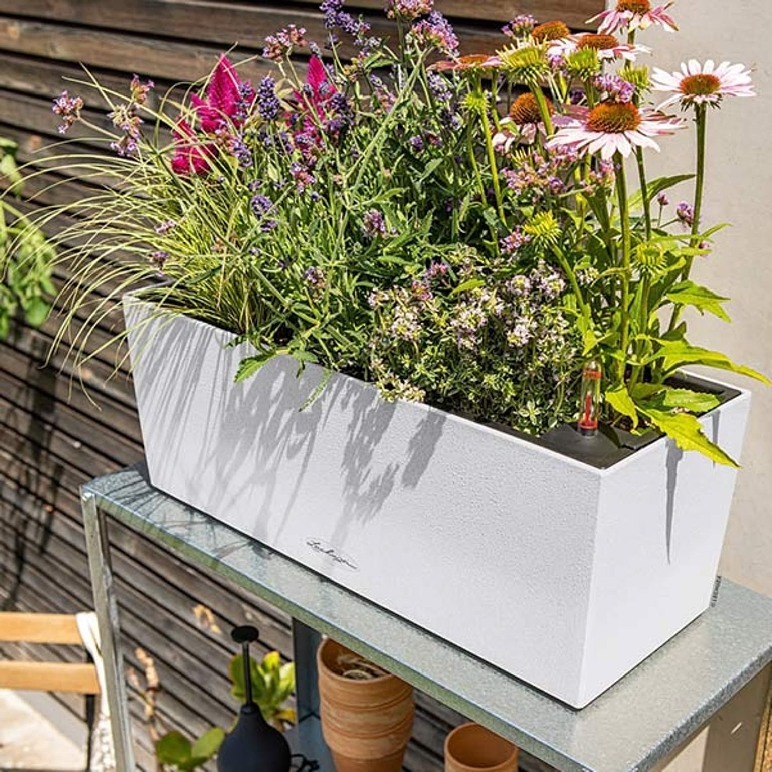 プランター・植木鉢