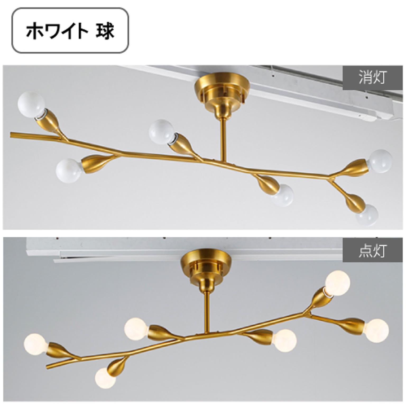 シーリングライト