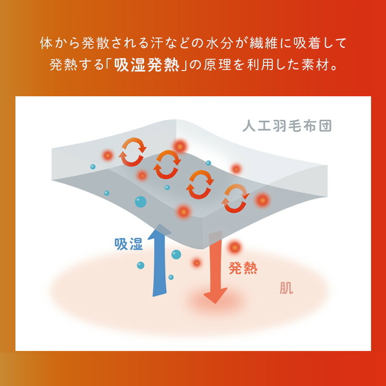 羽毛布団・羽根布団