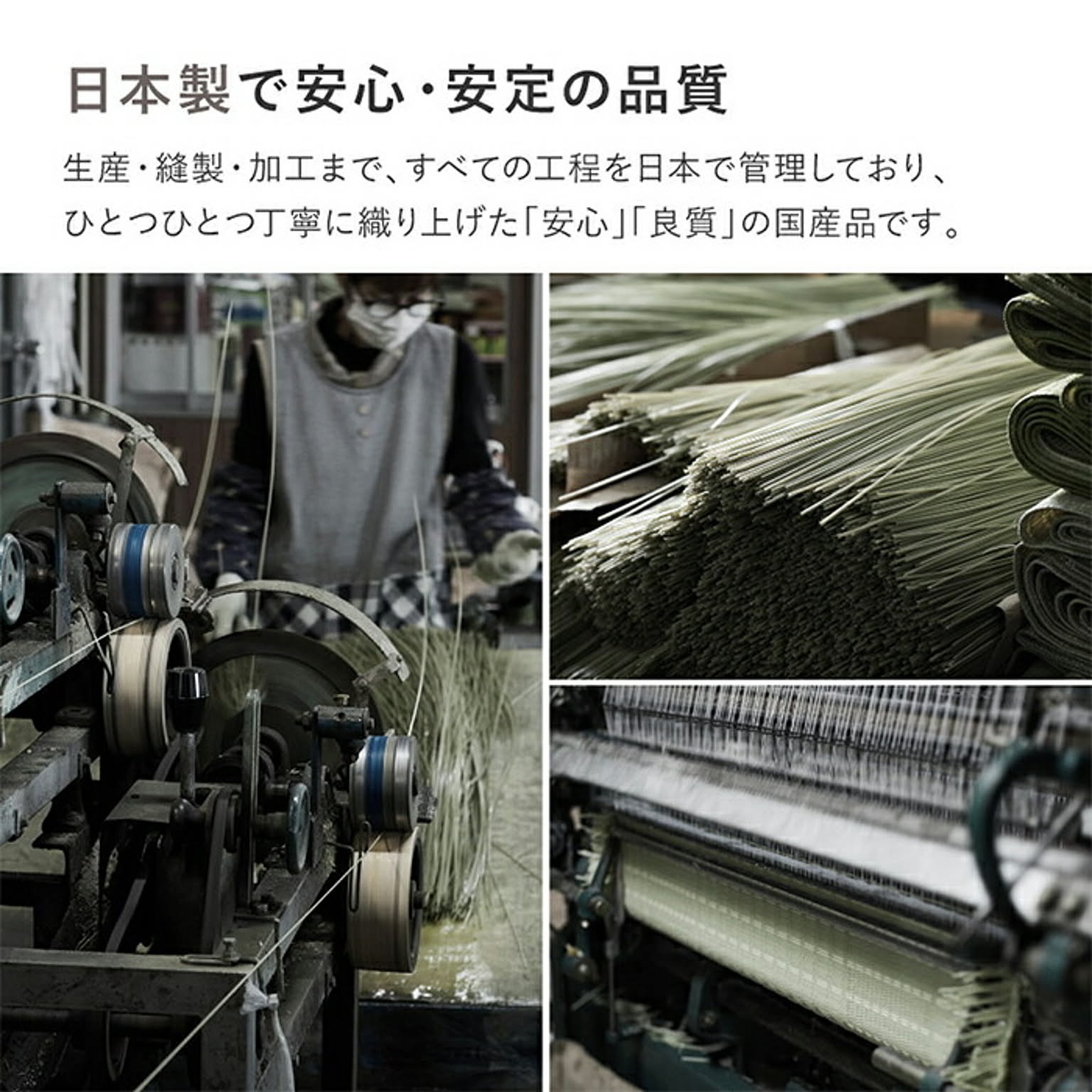 ござ・い草ラグ