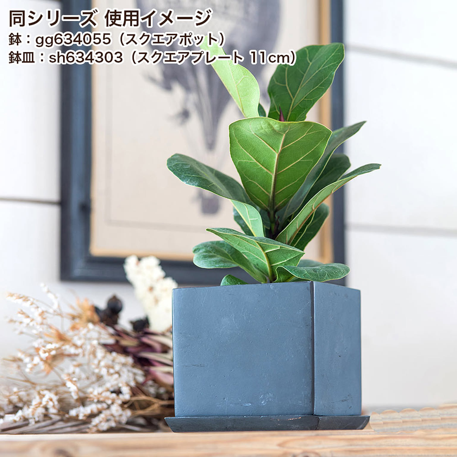プランター・植木鉢