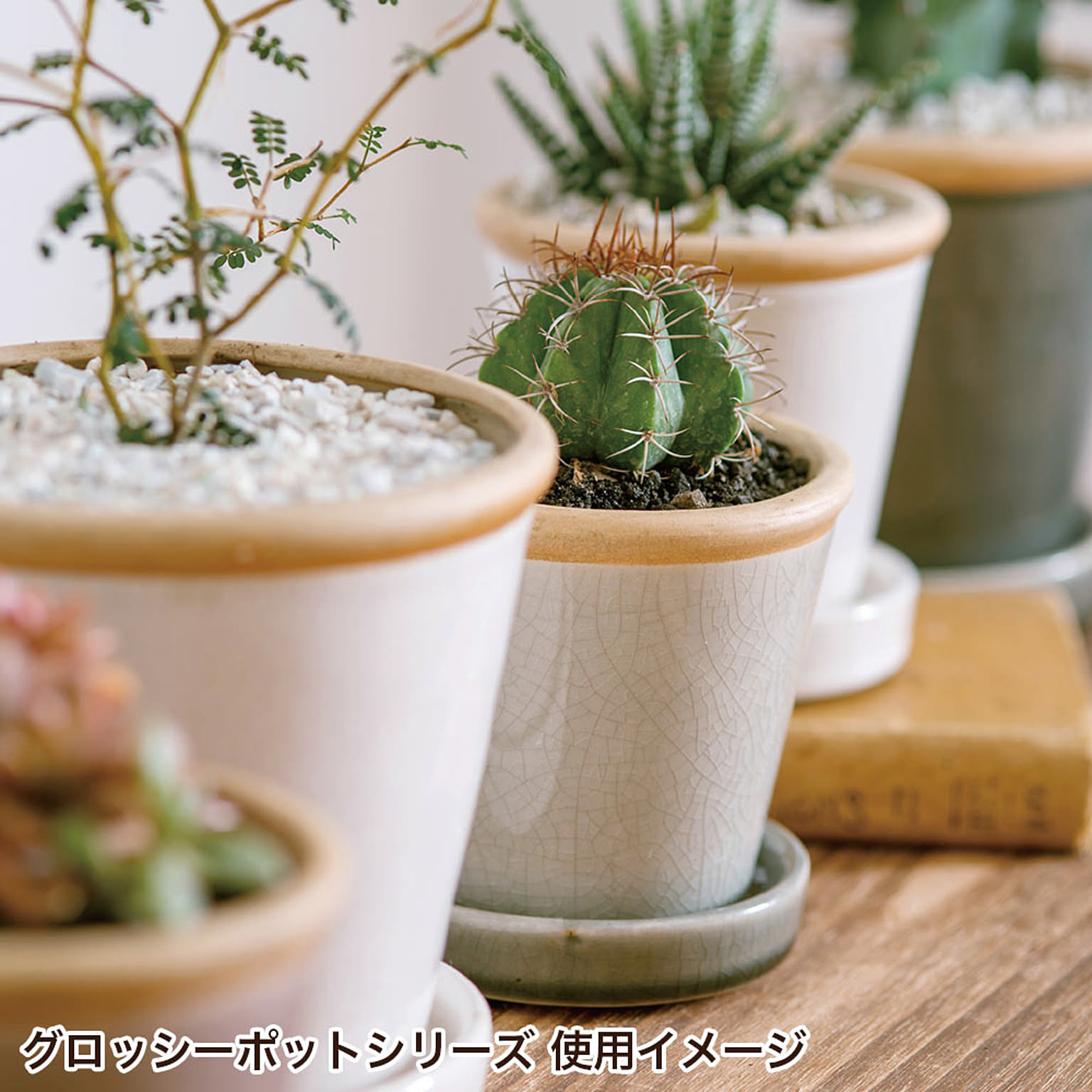 プランター・植木鉢