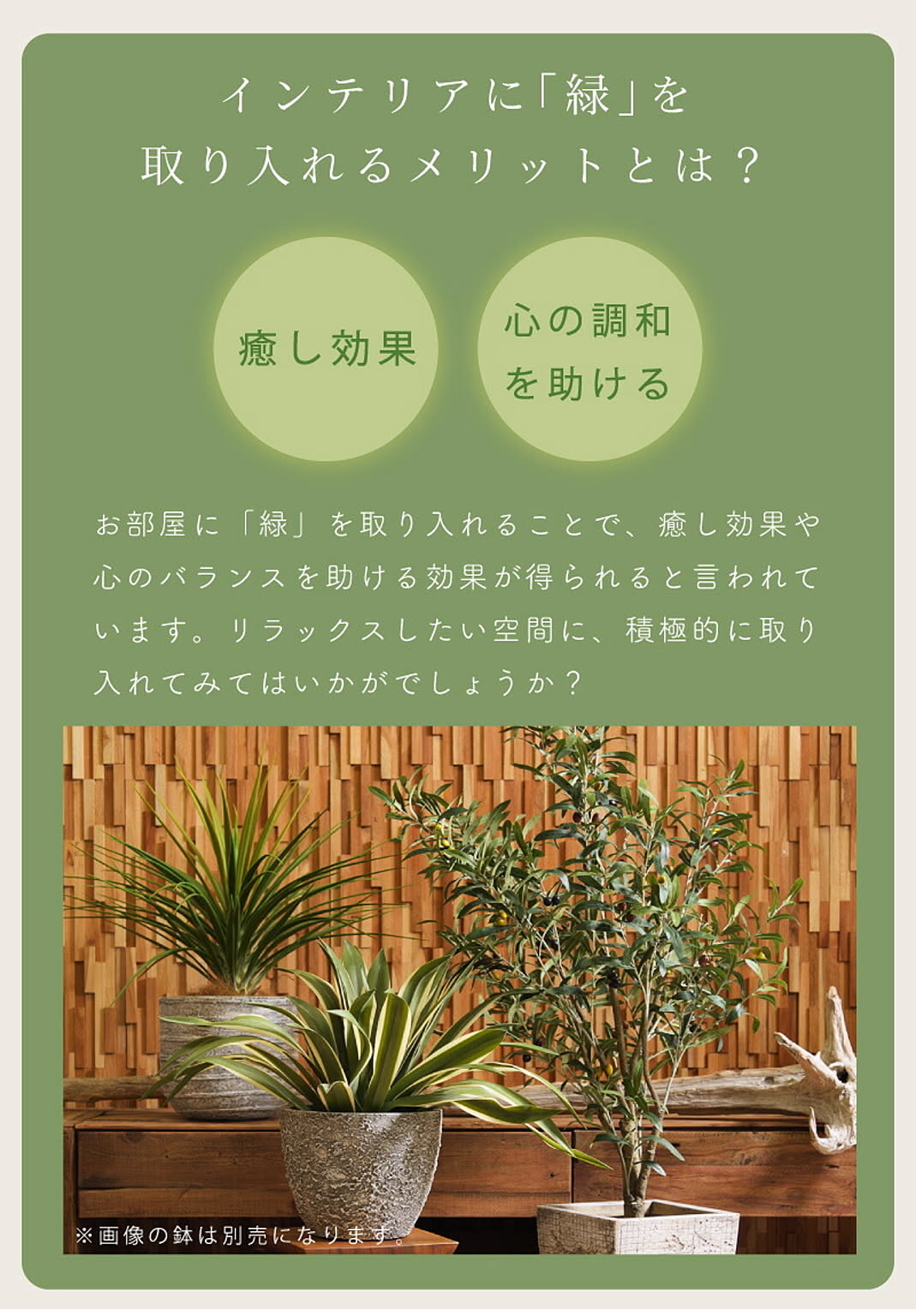 フェイクグリーン
