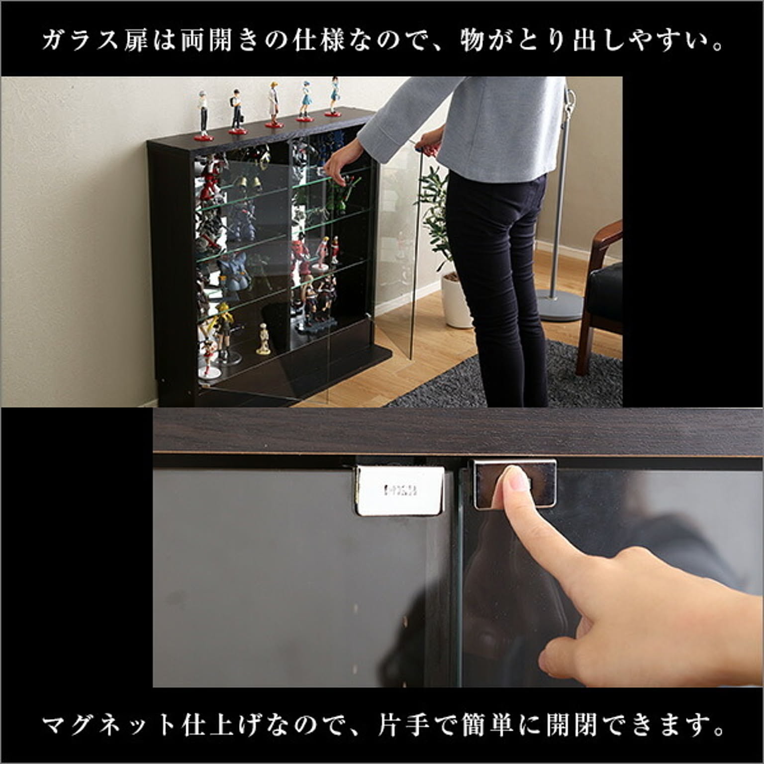 コレクションケース