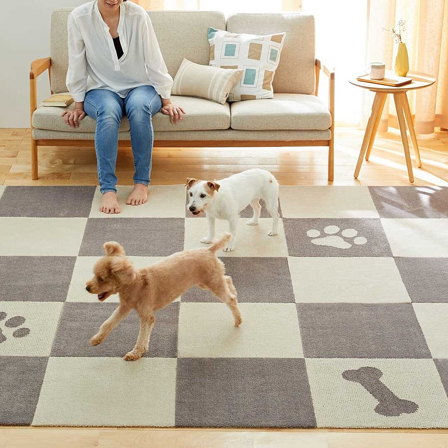 犬用インテリア・犬用家具