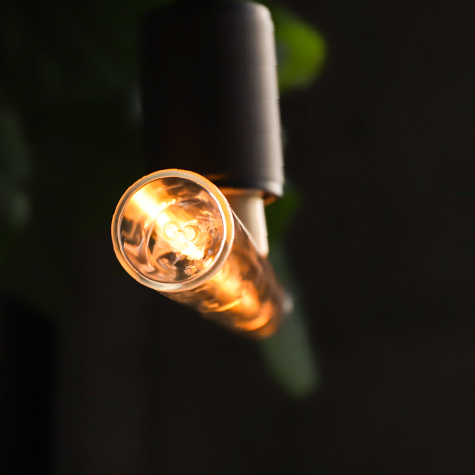 電球