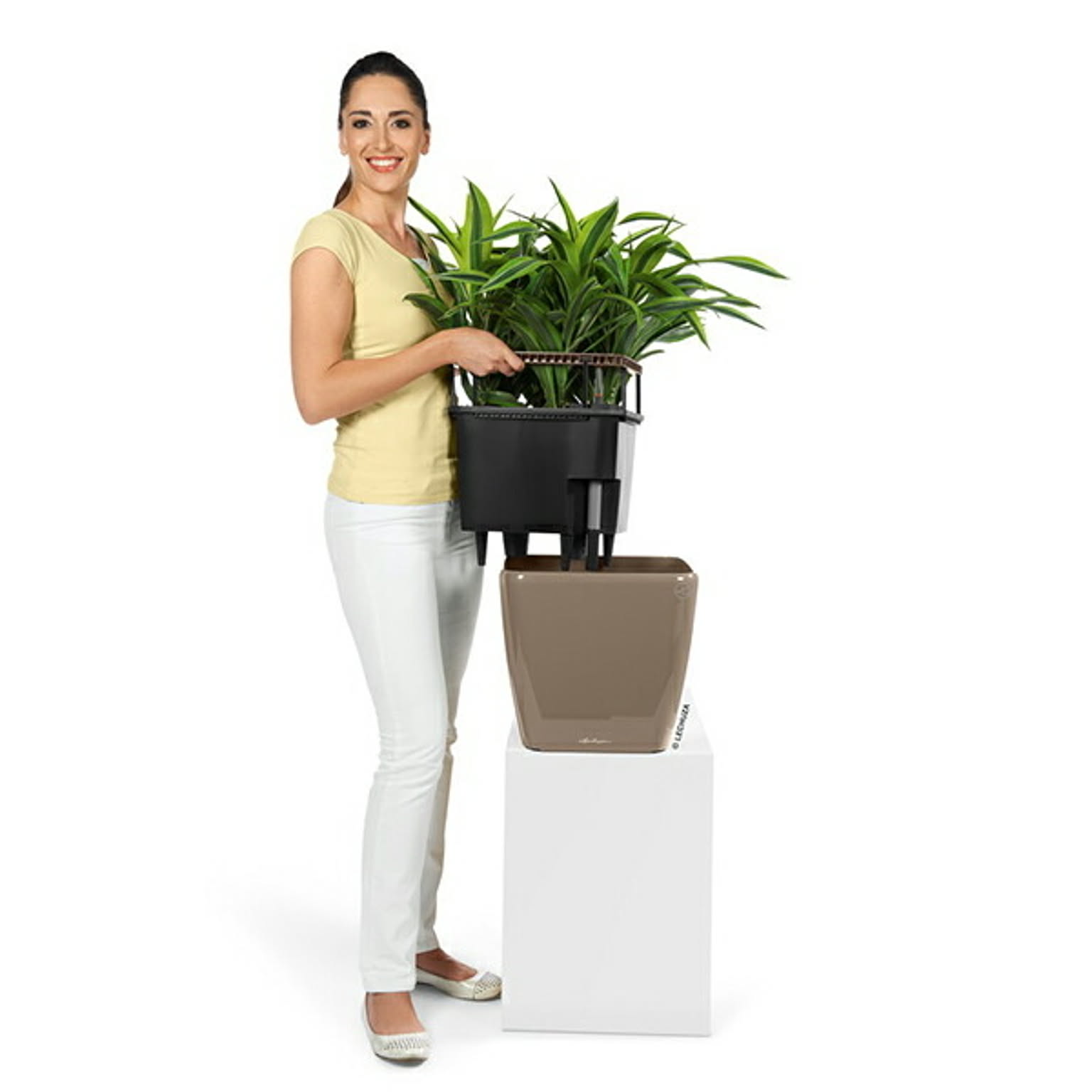プランター・植木鉢