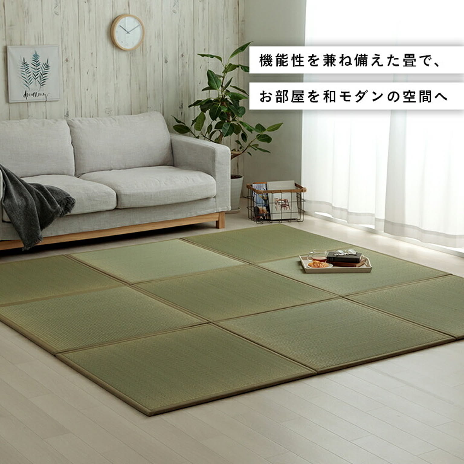 ござ・い草ラグ