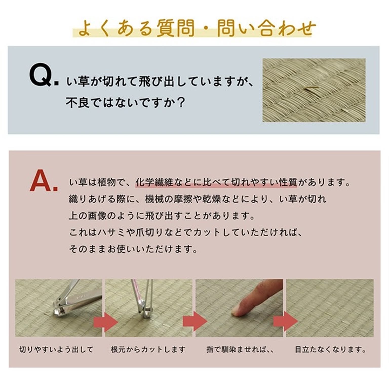 ござ・い草ラグ