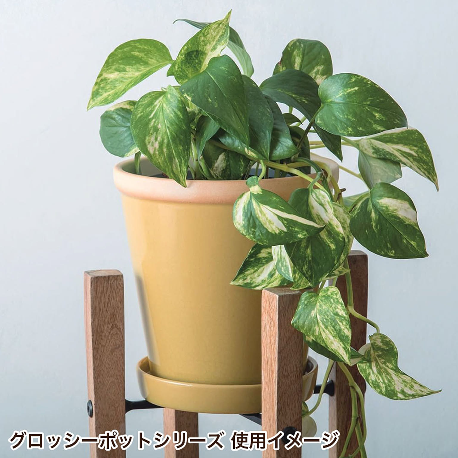 プランター・植木鉢