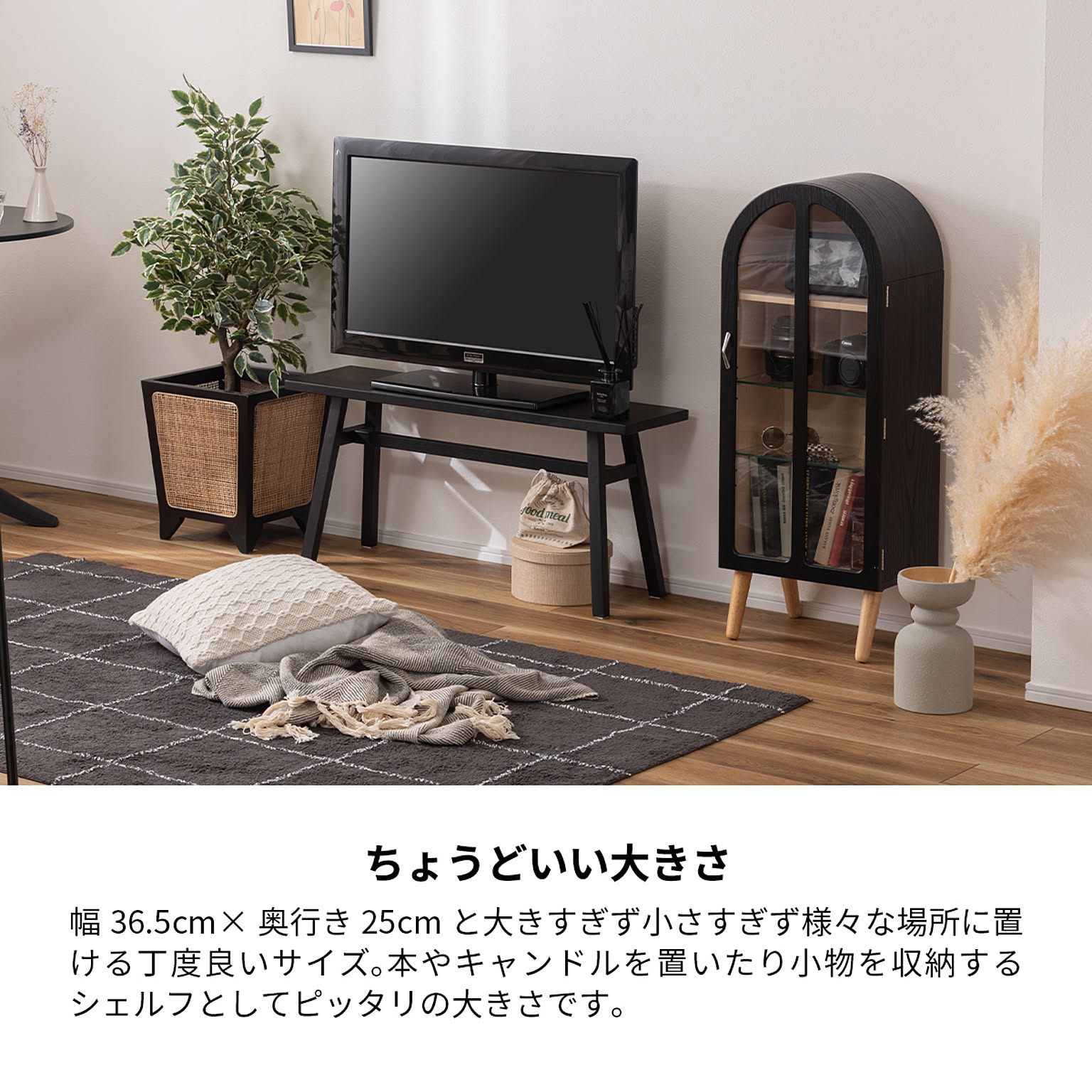 コレクションケース