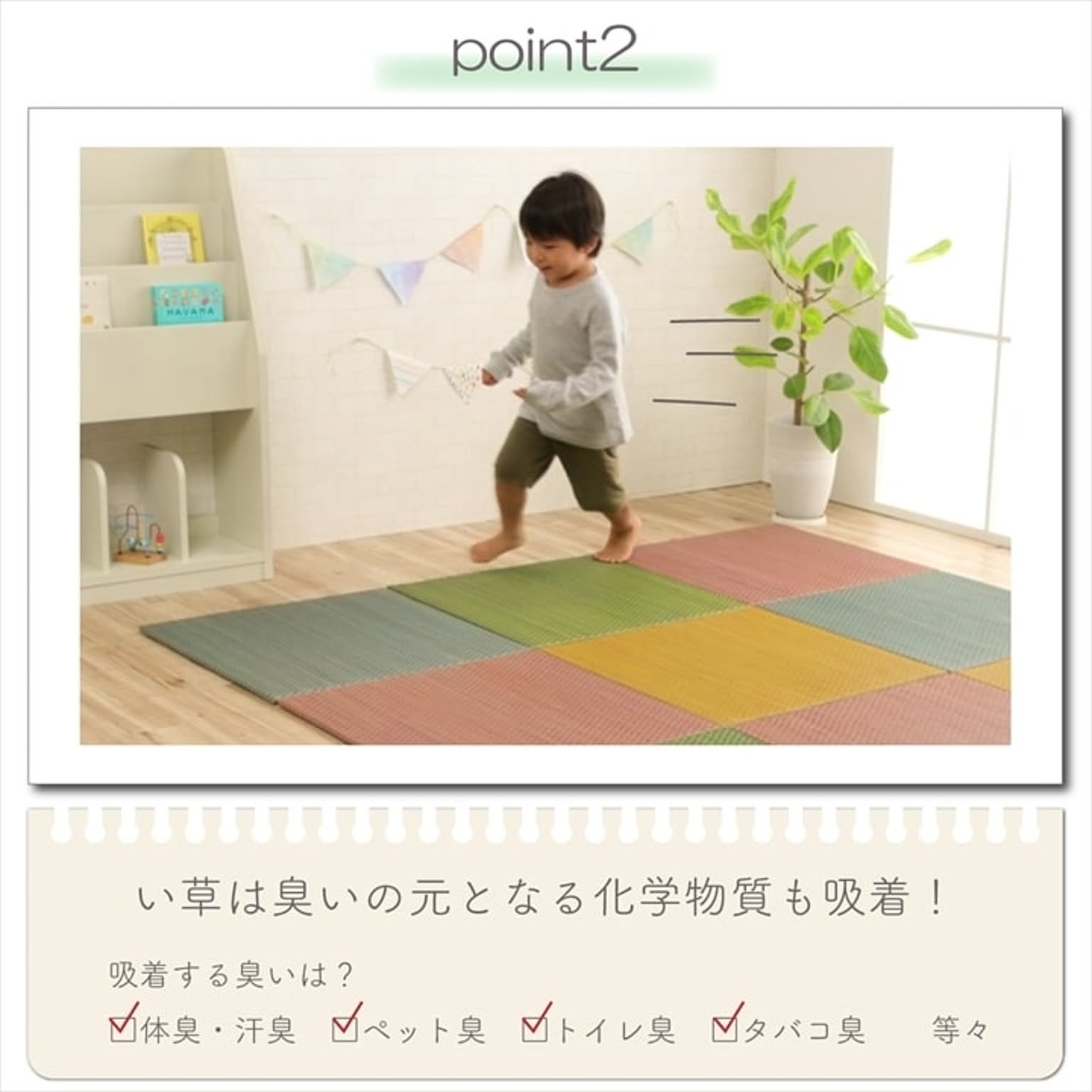 ござ・い草ラグ