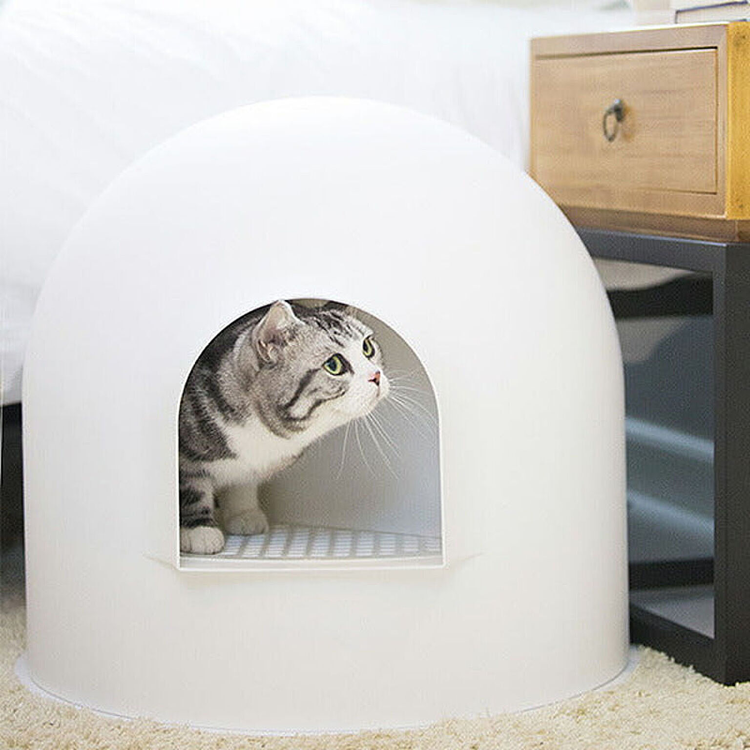 イグルーの猫用トイレ スノーホワイト / pidan Igloo Cat Litter Box (Snow White)
