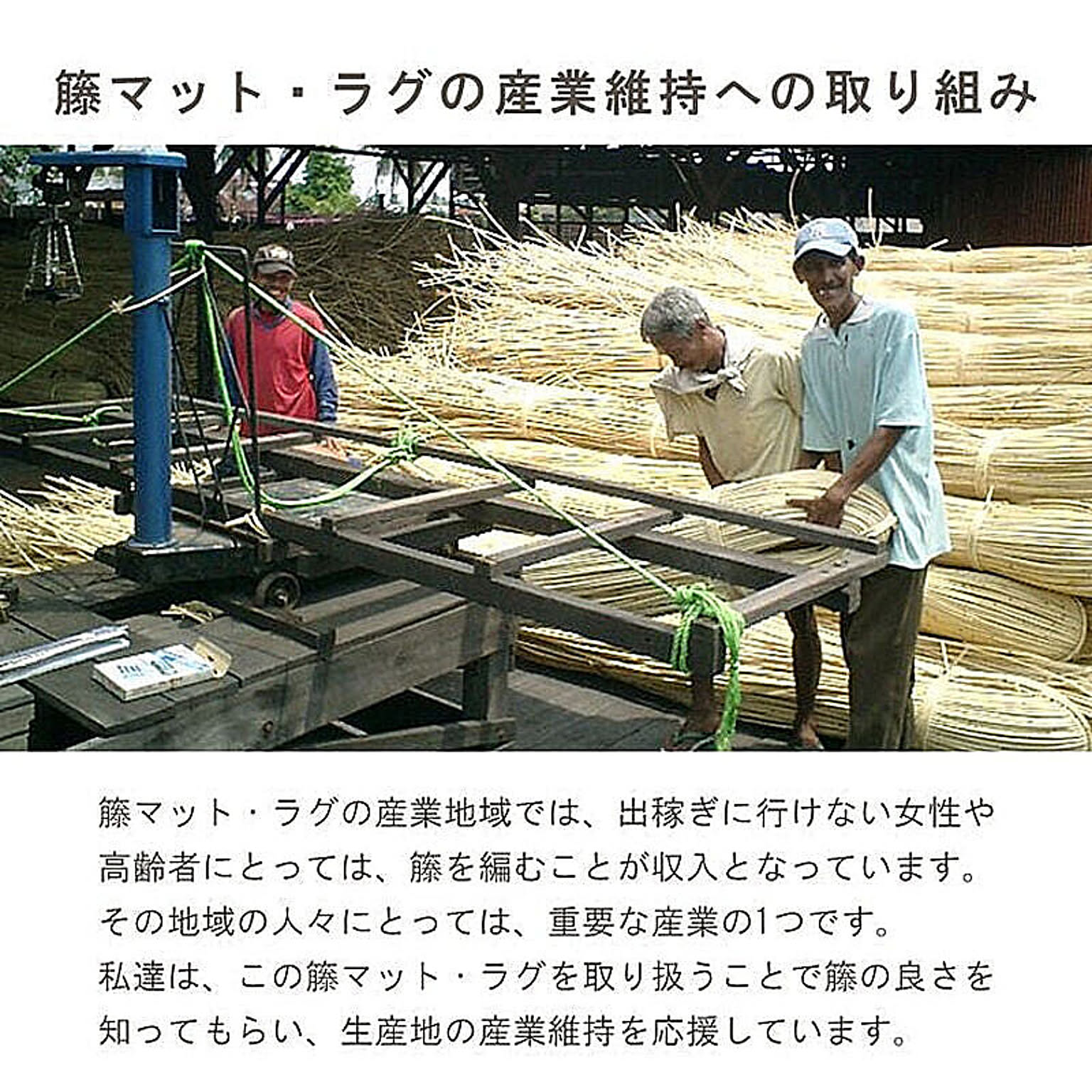ござ・い草ラグ