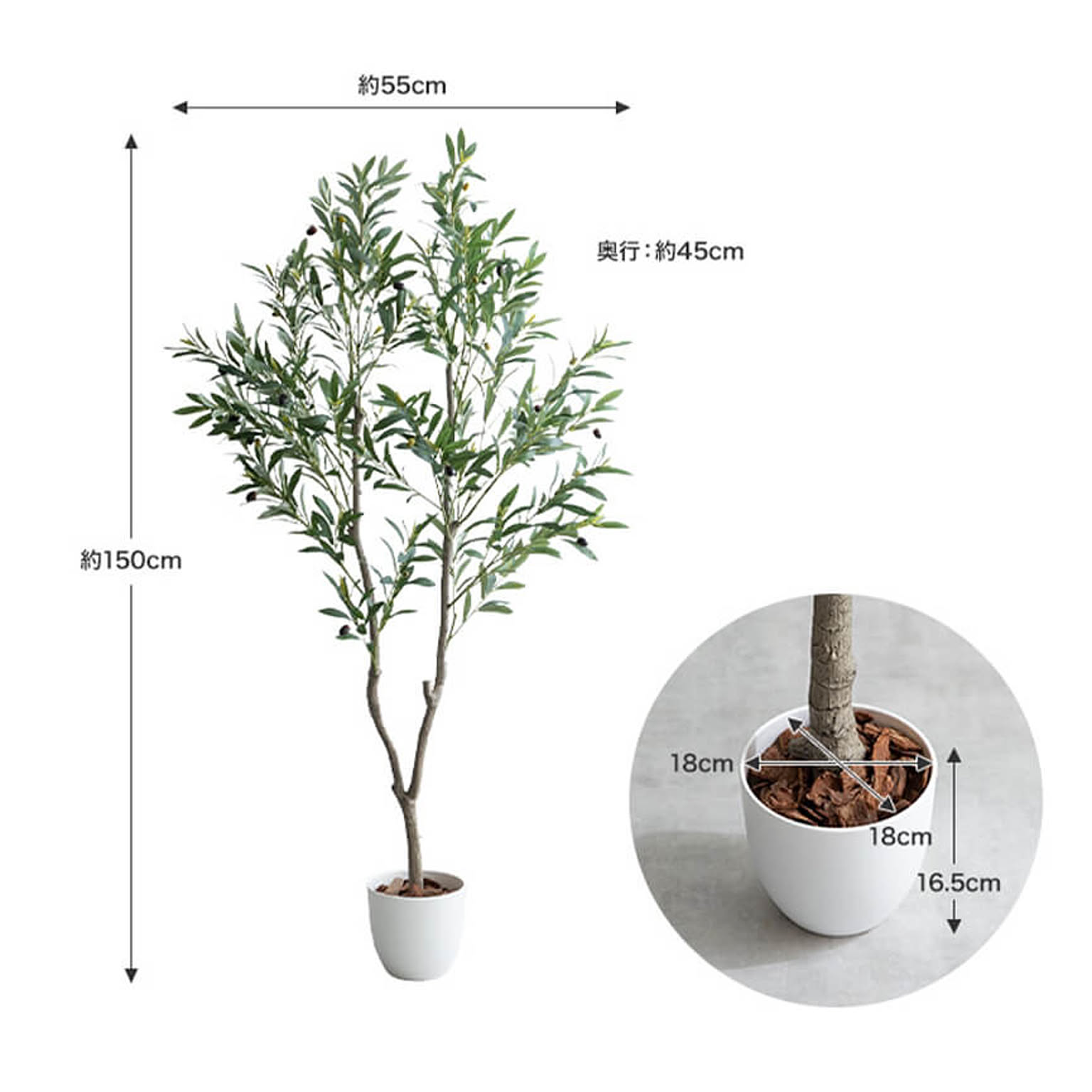 観葉植物