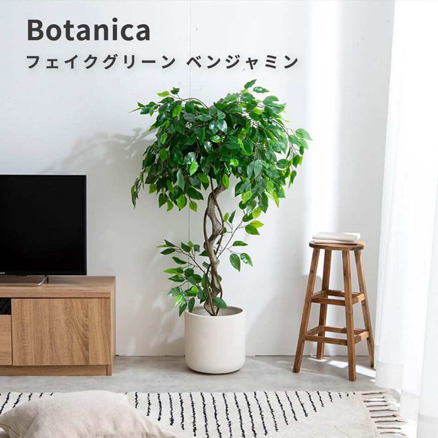 観葉植物
