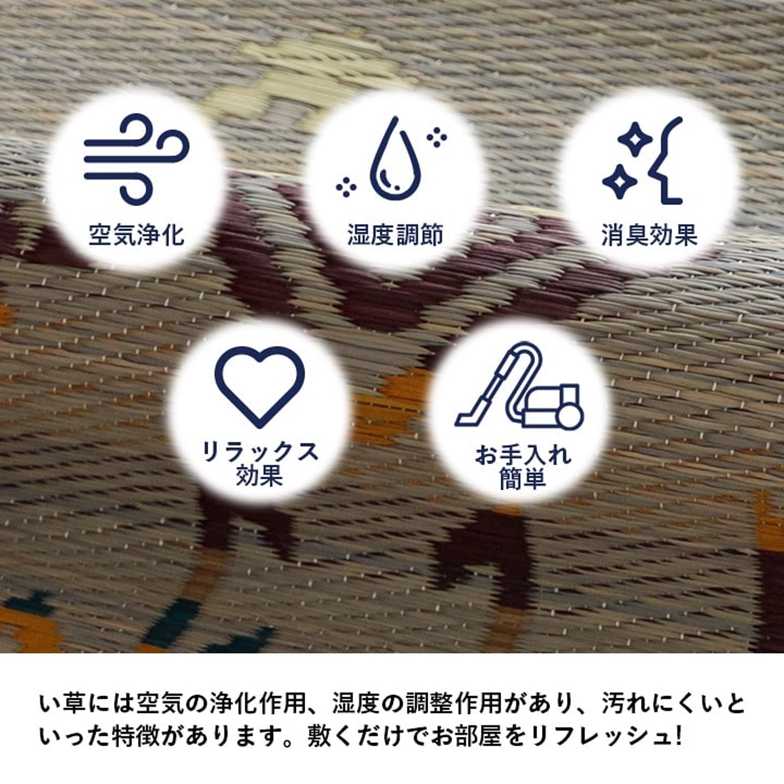 ござ・い草ラグ