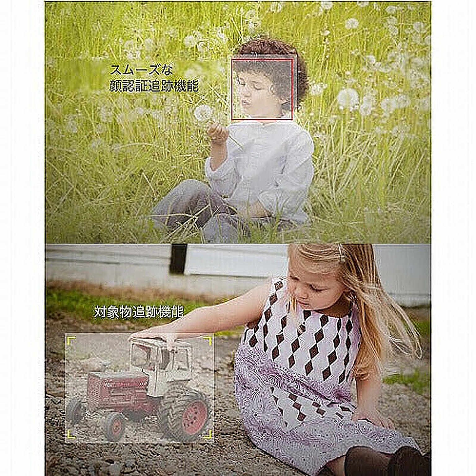スマホアクセサリ