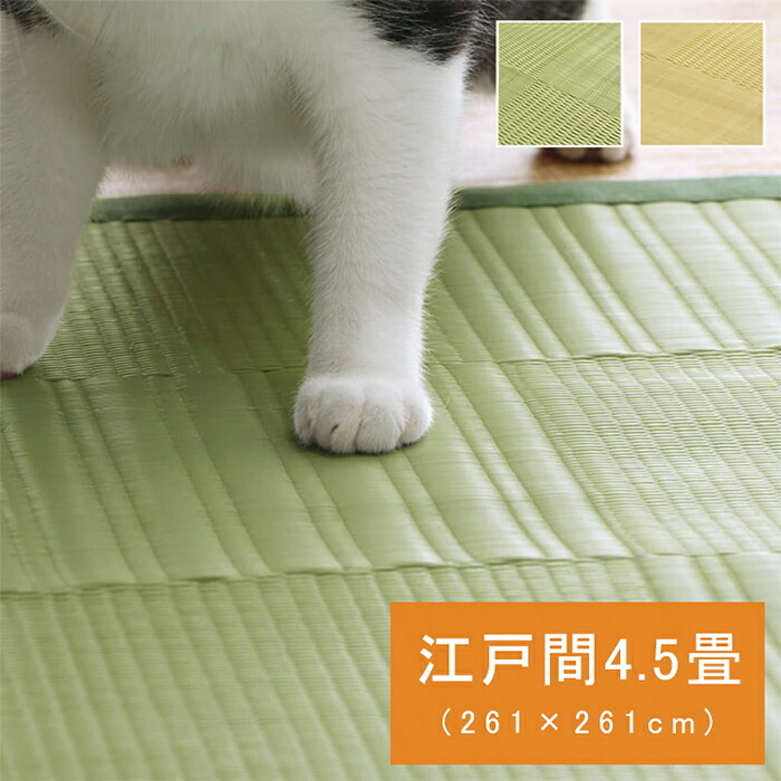 ござ・い草ラグ