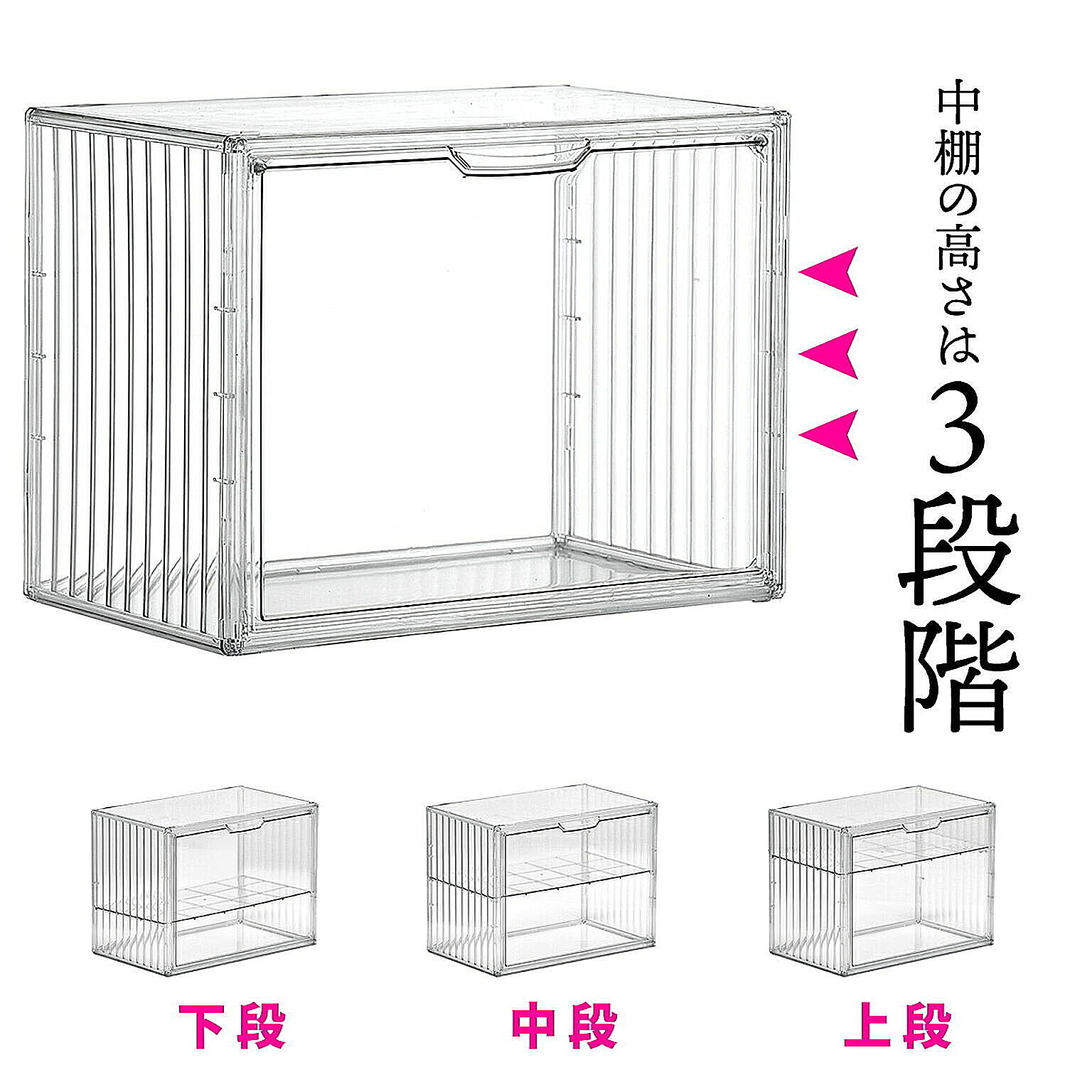 コレクションケース