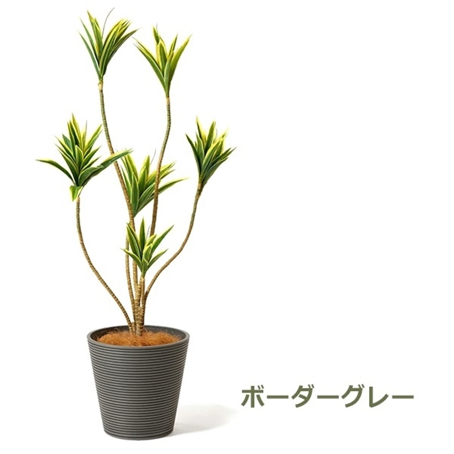 フェイクグリーン