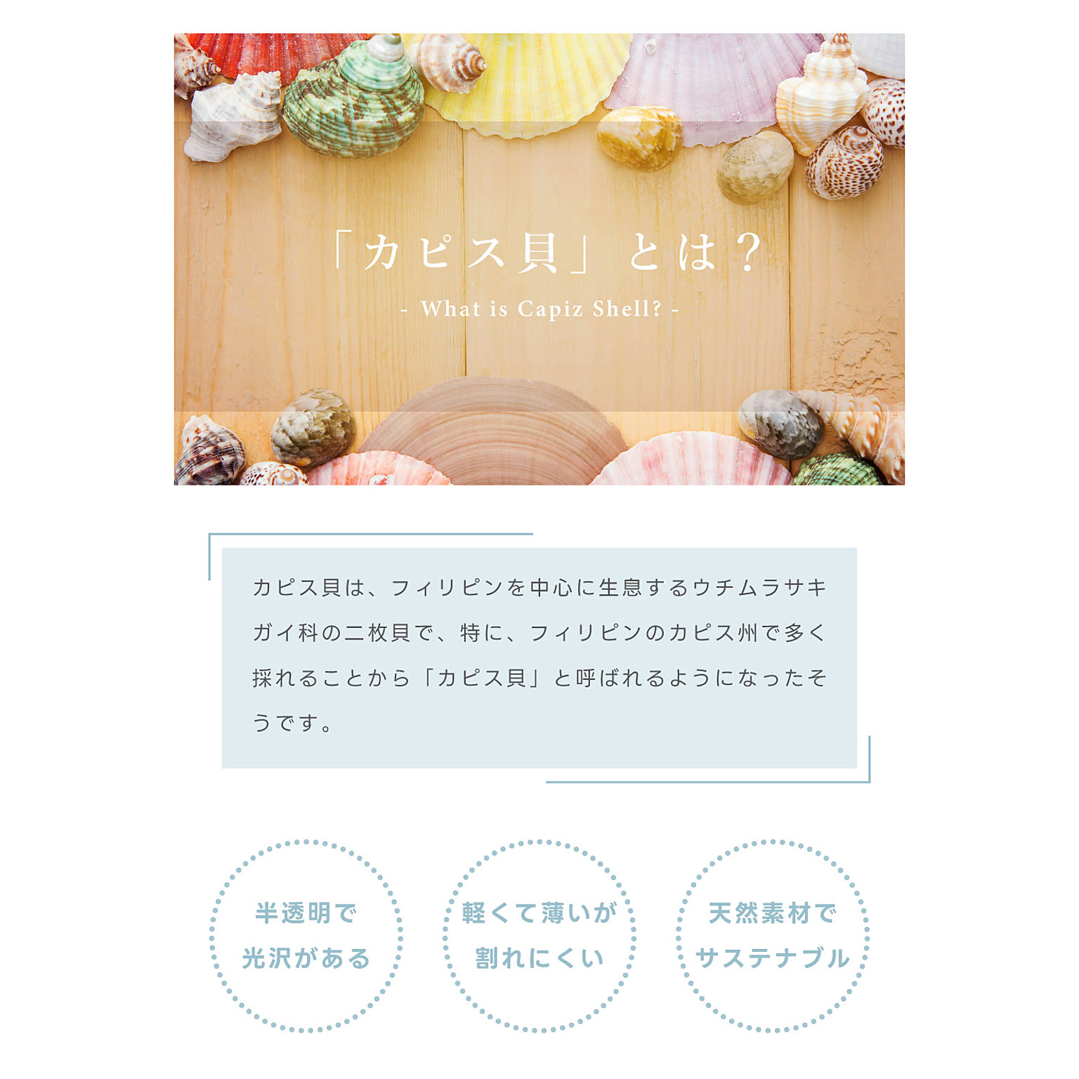 フォトアルバム