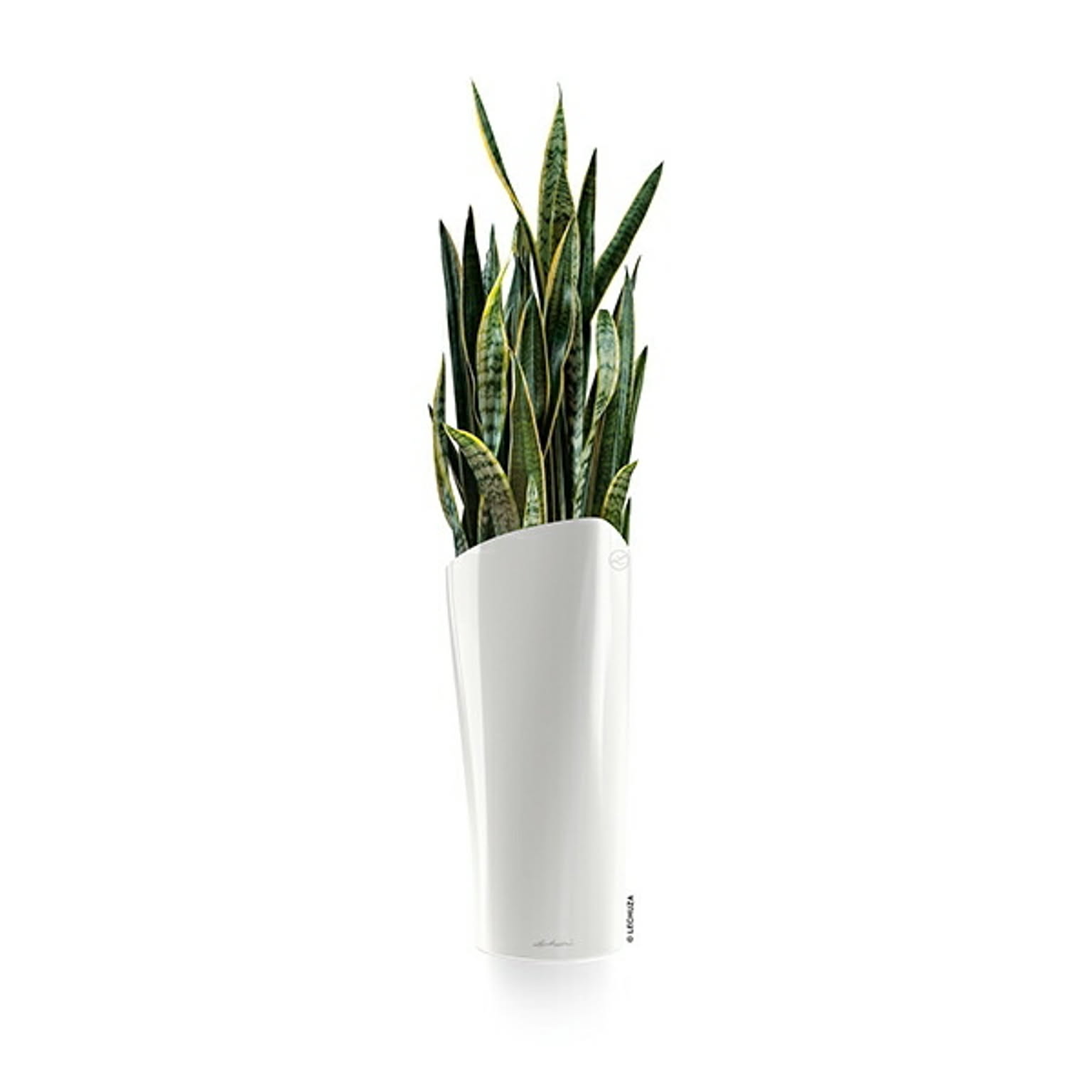プランター・植木鉢