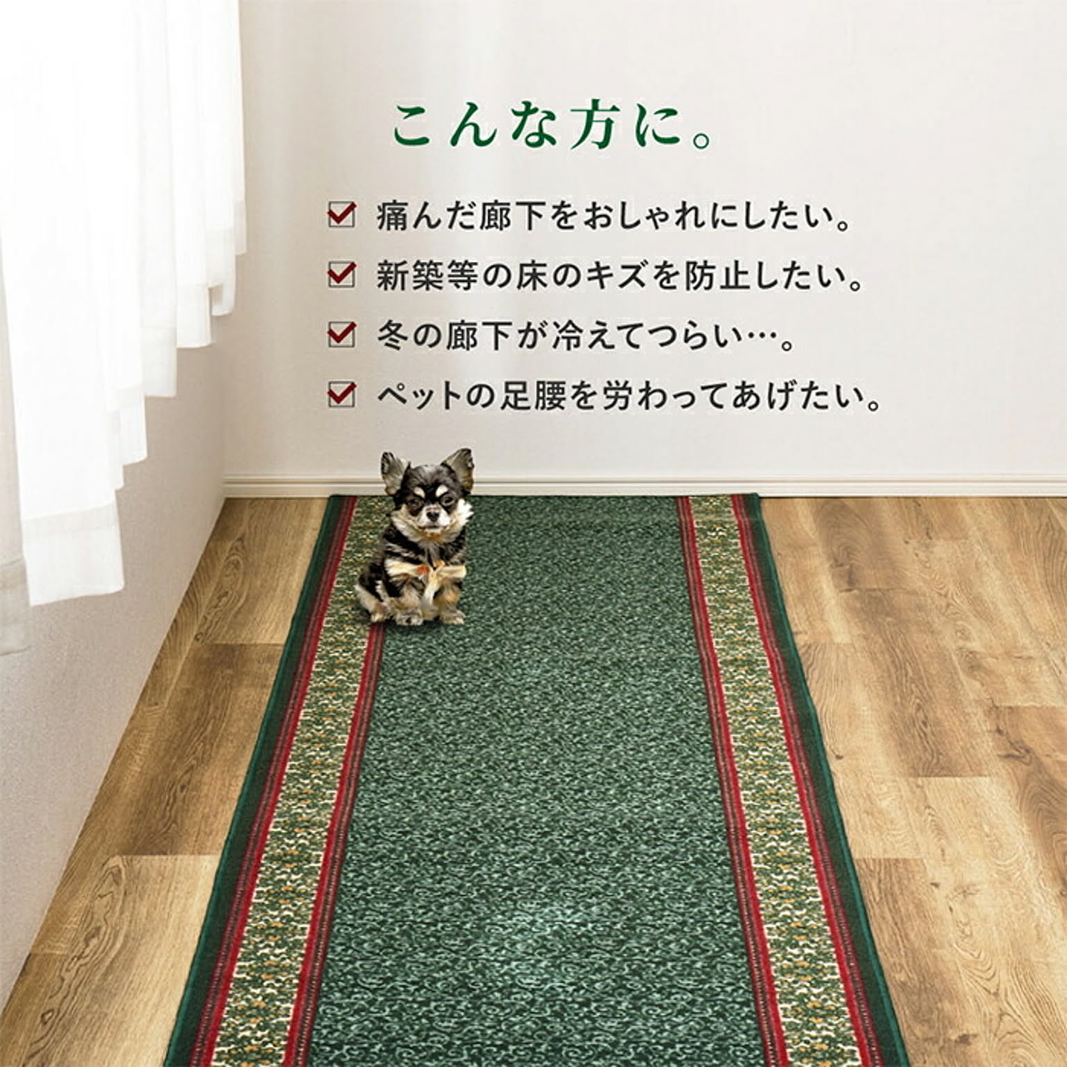 ござ・い草ラグ