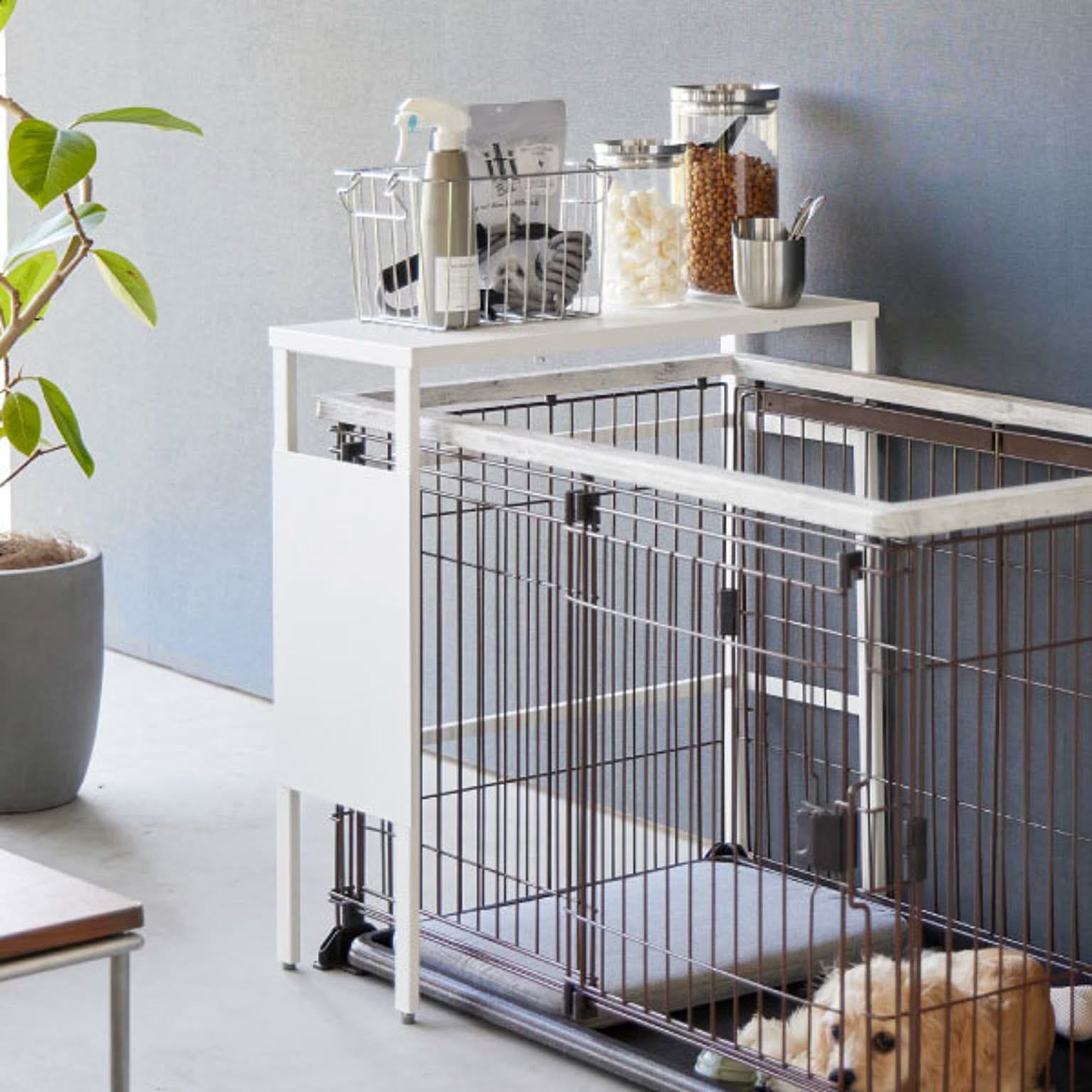 犬用インテリア・犬用家具