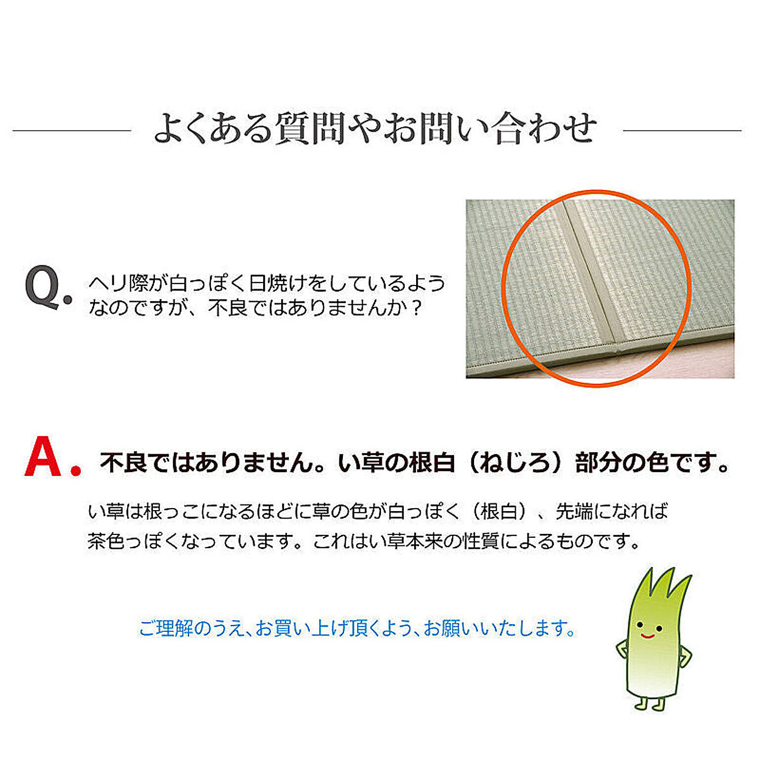 ござ・い草ラグ