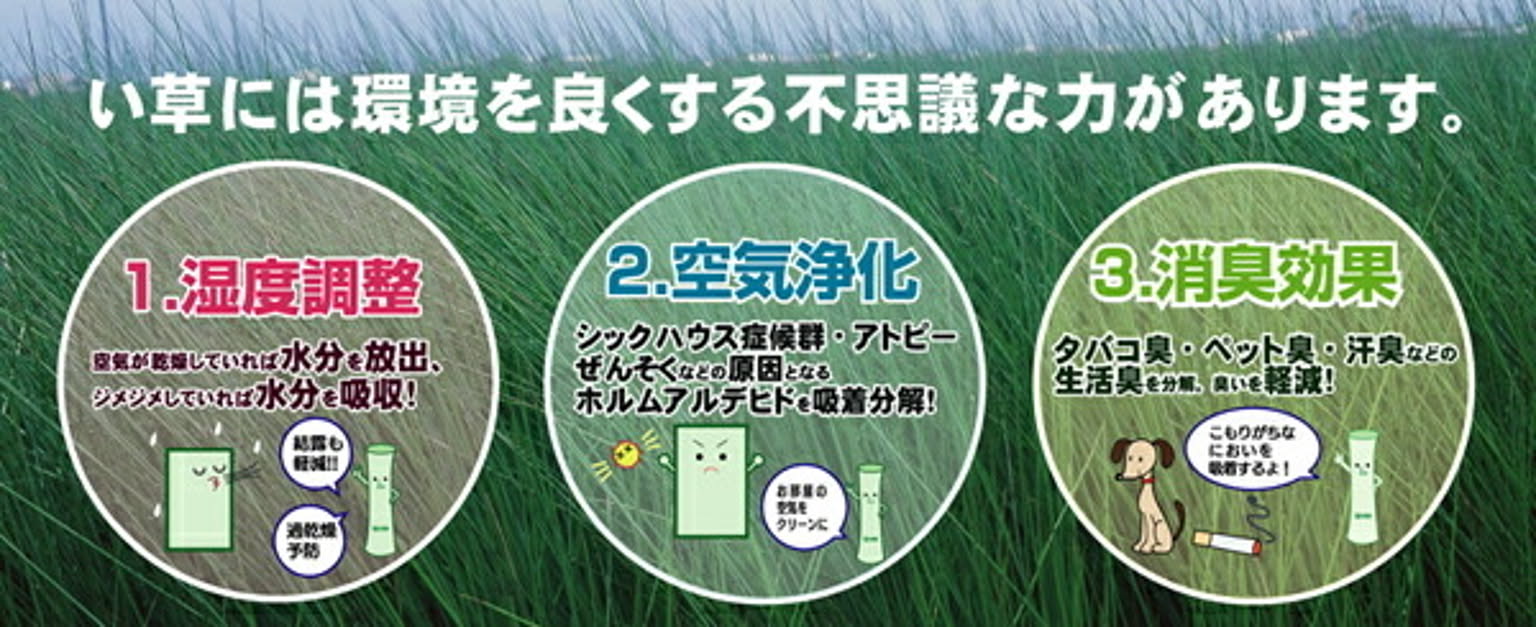 ござ・い草ラグ