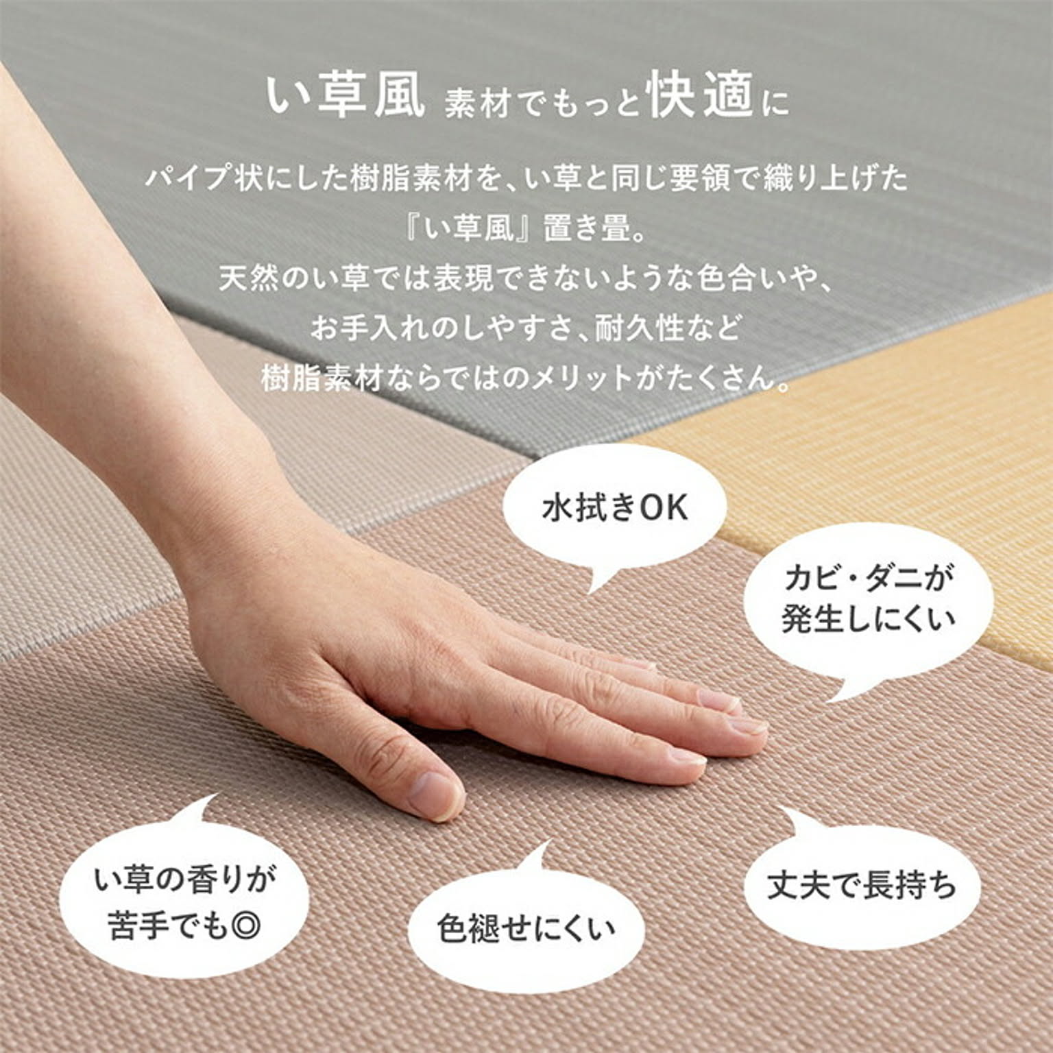 ござ・い草ラグ