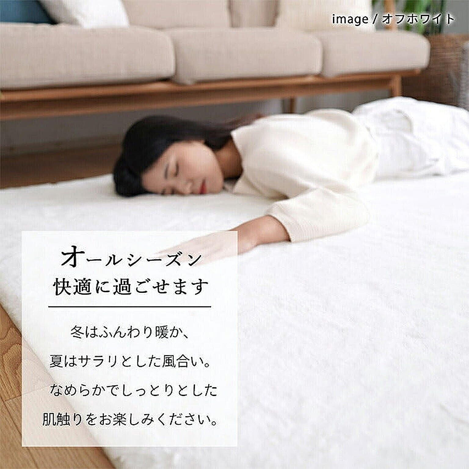 ラグ