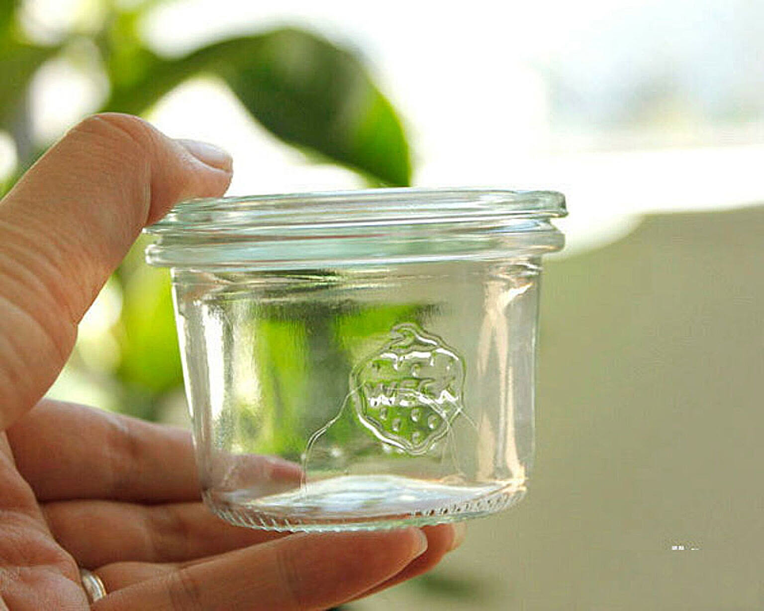 保存容器・キャニスター