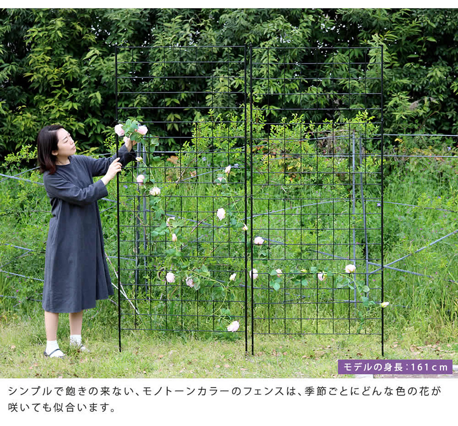 エクステリア