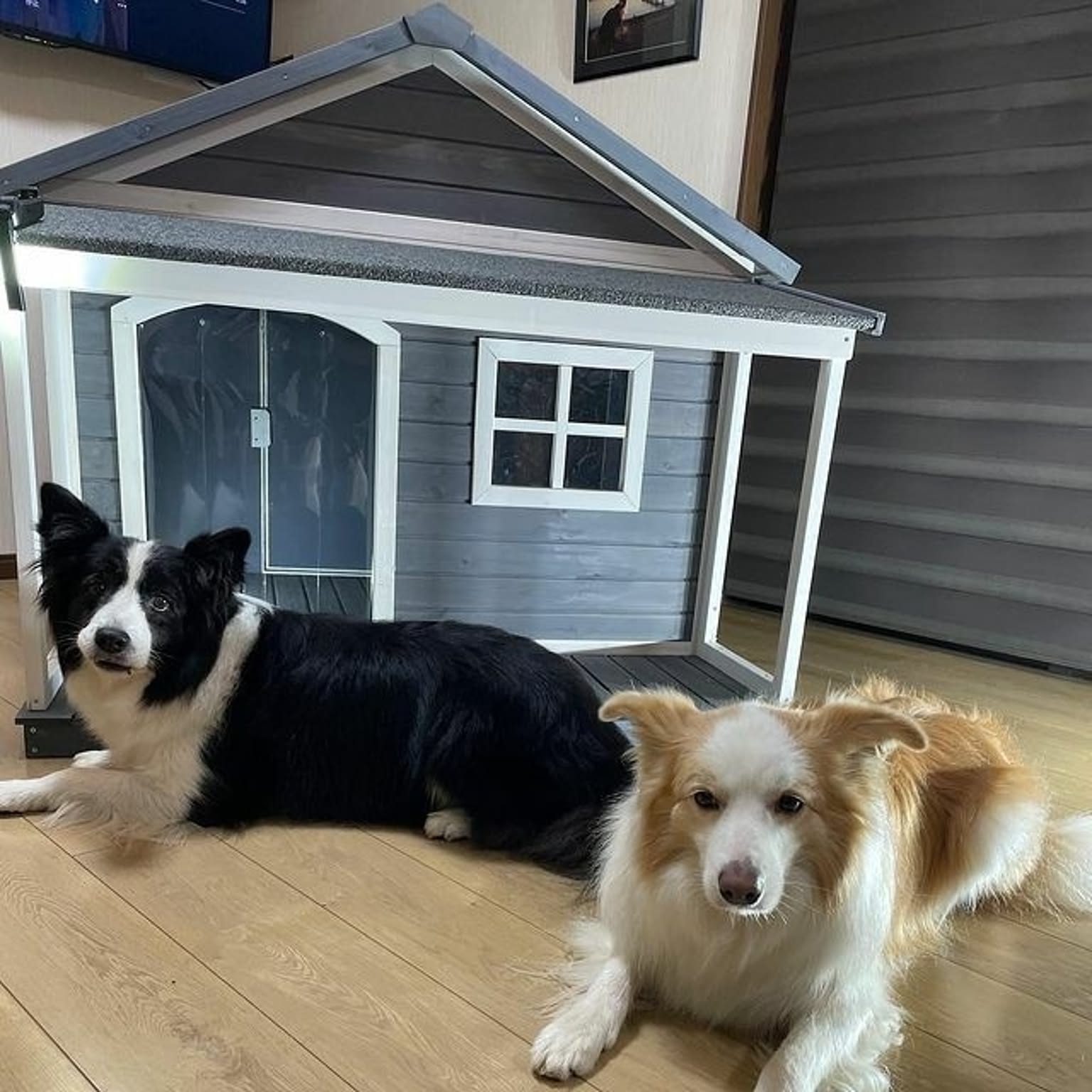 犬用インテリア・犬用家具