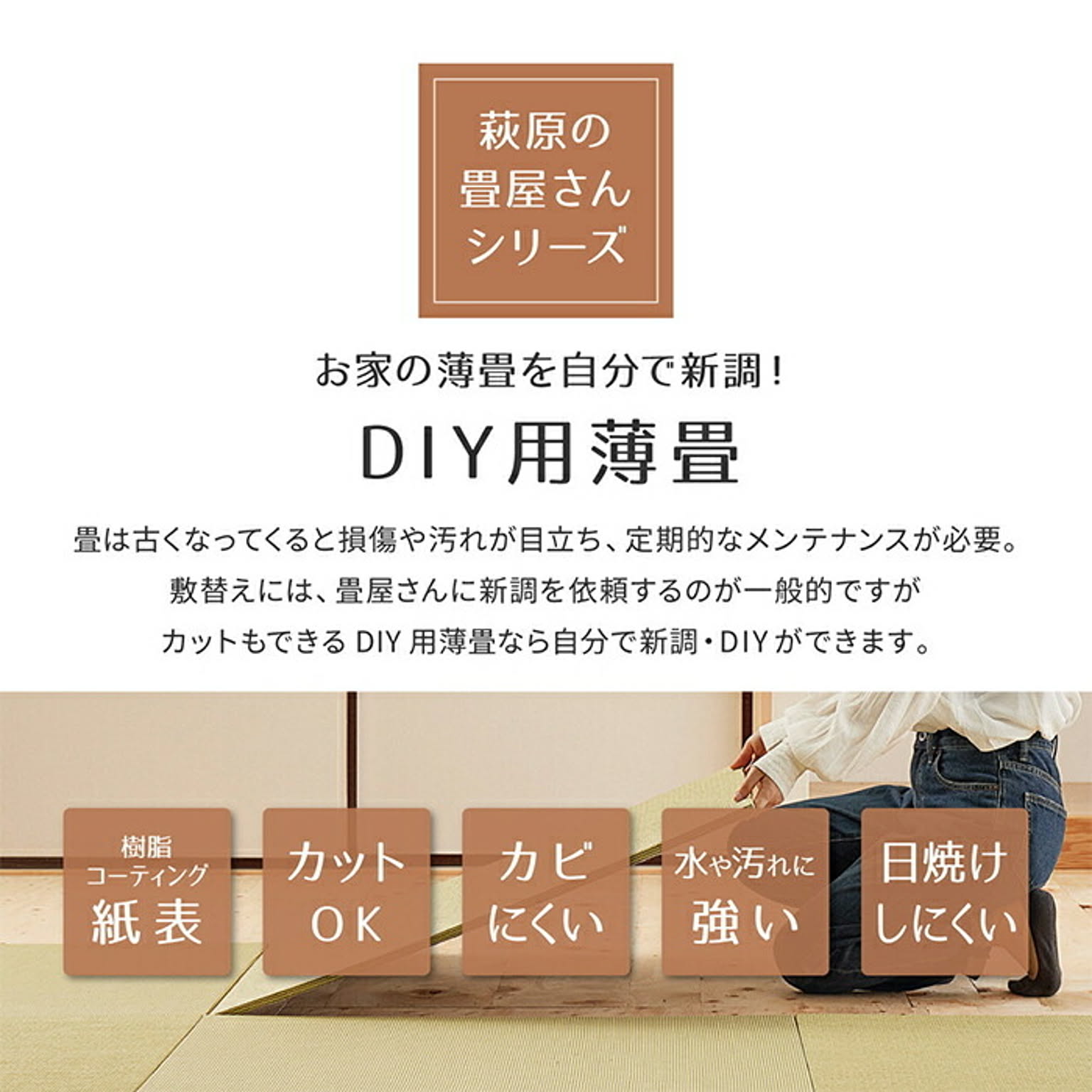 ござ・い草ラグ